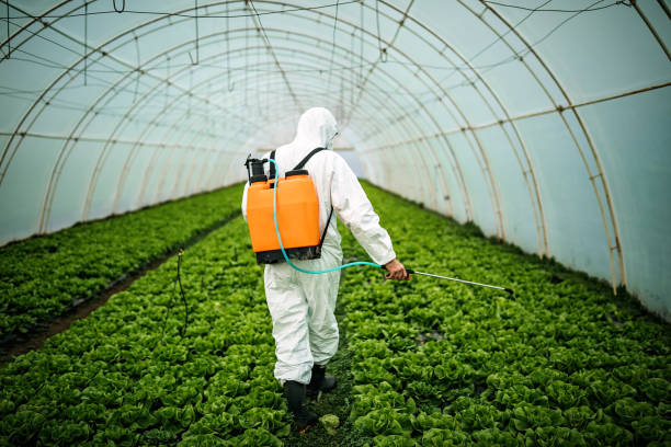 Best Best Pest Control Companies  in Hueytown, AL