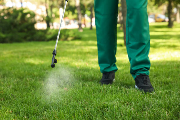 Best Insect Control  in Hueytown, AL