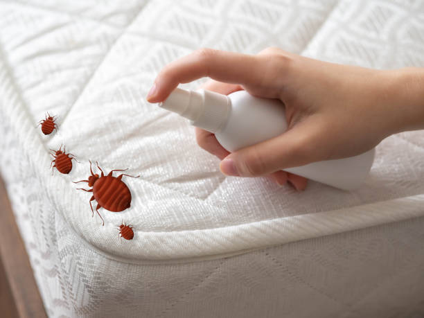 Best Flea Control Services  in Hueytown, AL