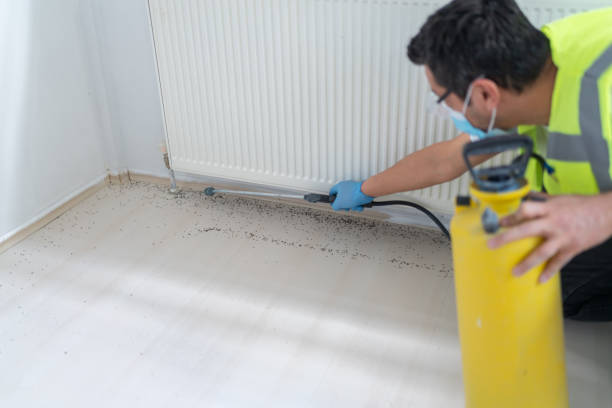 Best Best Pest Control Companies  in Hueytown, AL