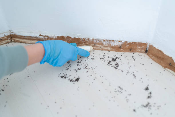 Best Pest Control for Homes  in Hueytown, AL