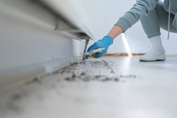 Best Exterminator Services  in Hueytown, AL