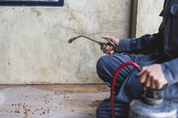 Best Local Pest Control Services  in Hueytown, AL