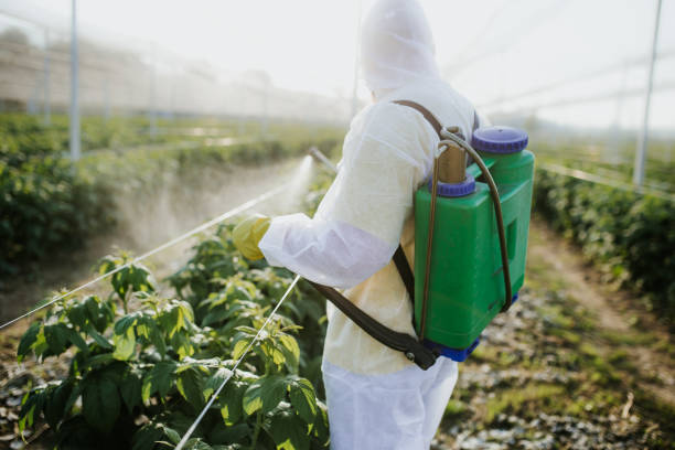 Best Flea Control Services  in Hueytown, AL